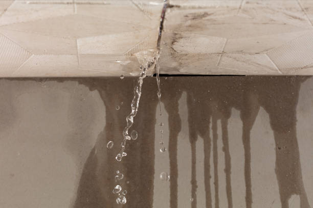 Professional Water Damage Repair technician working in Victoria, MS